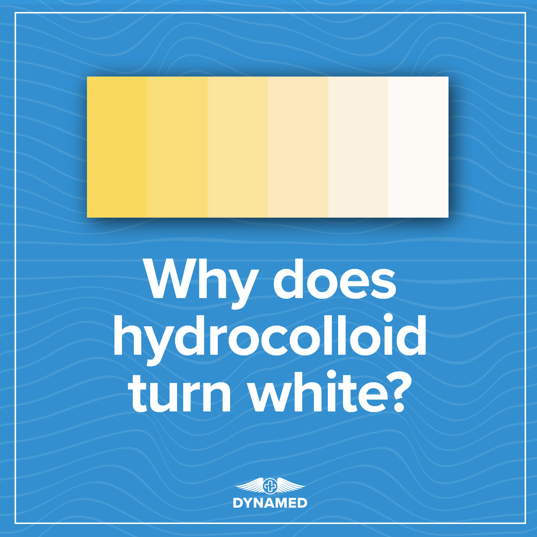 Why Does a Hydrocolloid Patch or Dressing Turn White?