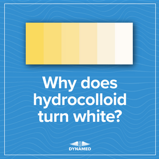 Why does hydrocolloid turn white – DynaMed infographic showing color transition from yellow to white on a blue background.