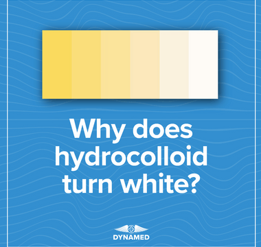 Why does hydrocolloid turn white – DynaMed infographic showing color transition from yellow to white on a blue background.